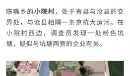 天津涉事配餐爆料视频,食品安全问题引发社会关注