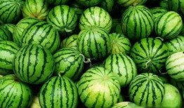 免费正能量吃瓜视频下载