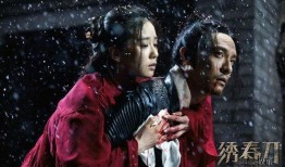 电影绣春刀在线观看,暗夜江湖，刀光剑影