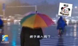 爆料济南大鹰哥视频,一场引发热议的网络事件