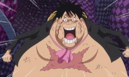 路飞果实爆料视频大全