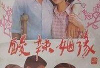 酸辣姻缘在线观看,一场别开生面的爱情盛宴