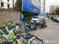 龙港爆料新闻网最新,聚焦最新热点，解码龙港发展新篇章