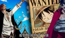 路飞果实爆料视频大全