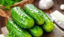 黄瓜农药爆料视频,黄瓜农药滥用视频曝光，食品安全引关注