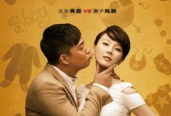 陆地夫妇圈内爆料,揭秘娱乐圈背后的温馨瞬间