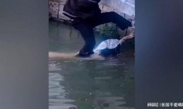 双峰溺水事件爆料最新情况