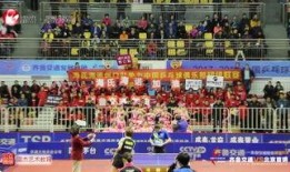 乒乓球联赛最新爆料视频,最新爆料！揭秘乒乓球联赛精彩瞬间与幕后故事