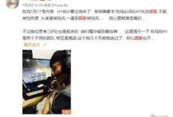 臭猪网红日本爆料视频大全,一场视觉与味觉的冒险之旅