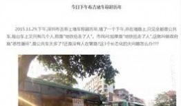 新闻爆料深圳新闻,聚焦城市热点，解码发展脉动