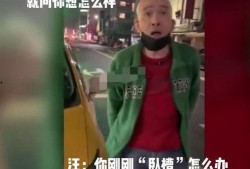 汪小菲司机爆料视频,揭秘豪门背后的惊人真相
