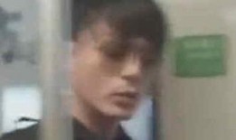 霍建华 被爆料了吗视频