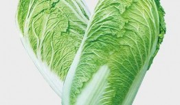 吉林大白菜爆料视频,揭秘田间地头的新鲜秘密