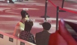 今日头条杨紫最新爆料,揭秘娱乐圈幕后真相