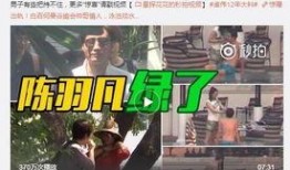 网友爆料总裁出轨视频,真相背后引人深思