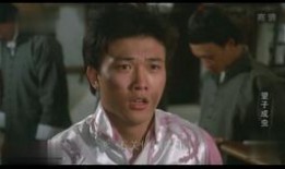 龙先生在线观看,一场视觉与心灵的盛宴