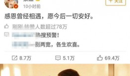 娱乐圈的吃瓜影帝免费阅读,影帝的免费瓜田，揭秘幕后真相