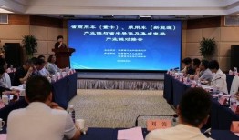 陕西省新闻爆料,最新爆料揭示城市变迁与民生故事