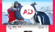 吃瓜背诗视频下载免费,跟随吃瓜视频，免费领略古典诗词之美